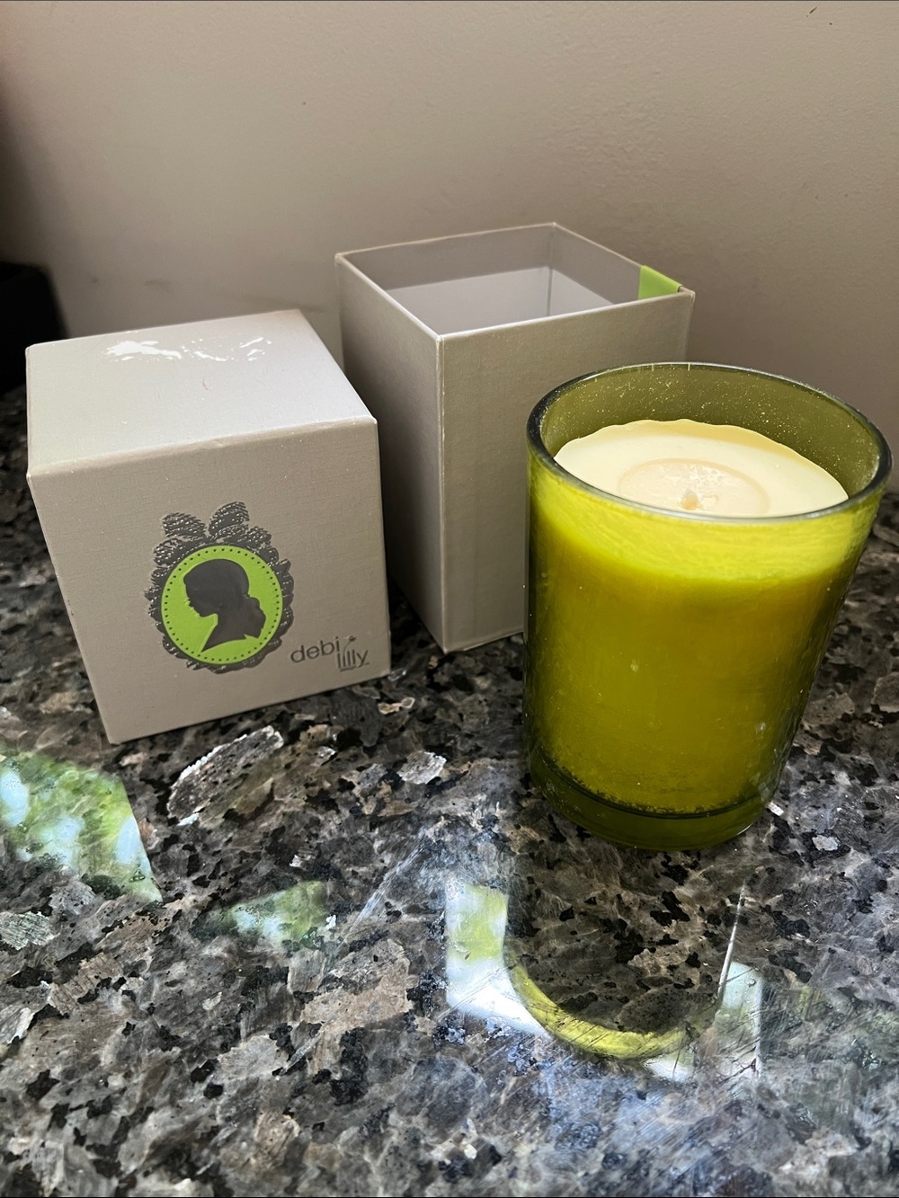 Debi Lilly Verbena Soy Wax Large 9oz Candle In Box